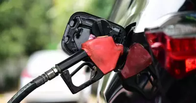 Albanese's Fuel Security Assurances Under Scrutiny Amid Looming Crisis