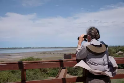 Argentina's Ansenuza National Park: A Hidden Gem of South American Wetlands