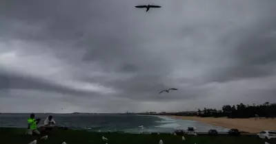 Bowral Records 39mm Rain, Illawarra Faces Life-Threatening Floods