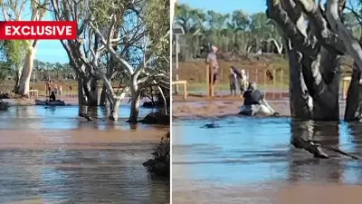 Carnarvon Man Survives 12-Hour Ordeal Clinging to Tree in Raging Floodwaters