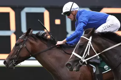Cinsault Aims for Maiden Group 1 Victory in Coolmore Classic at Rosehill