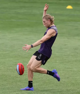 Fremantle's Hayden Young Out for Weeks as Dockers Face Injury Tests