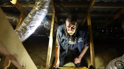 Geelong Braces for Early Rat Season as Poison Regulations Shift