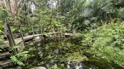 Kewarra Beach Resort Remains Closed, Future of Eco-Retreat Uncertain