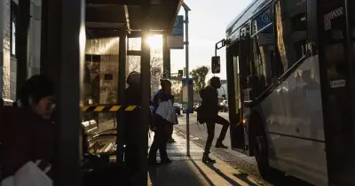 Newcastle Buses: Pressure Mounts to Abandon Failing Private Model