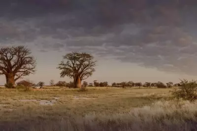 Noronex Secures $1.25M from Namibian Copper Project Sale