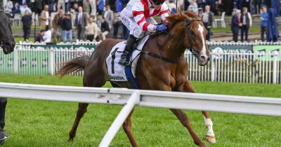 Rosehill Racing Tips: Expert Analysis for Saturday's Full Card