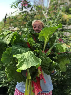 Sabrina Hahn's Autumn Gardening Guide: Best Veggies and Native Trees