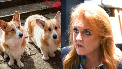 Sarah Ferguson Denies Plans to Clone Queen Elizabeth's Corgis for TV Show