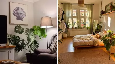 Simple Home Improvement Hack Can Boost Property Value by Up to 17%