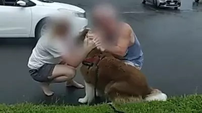 Stolen Dog Reunited with Owners as Police Crack Down on Cairns Property Thefts