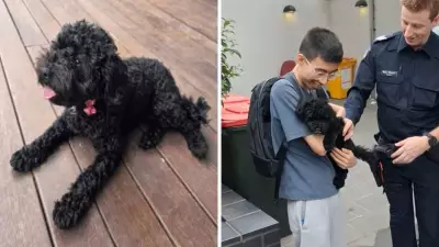Stolen Melbourne Puppy Reunited with Family After Police Arrest