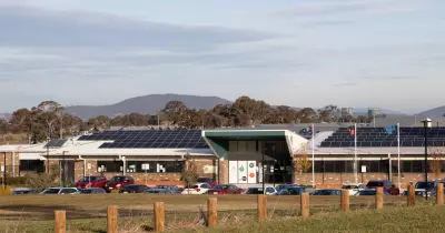 Taylor Schools Face High-Speed Danger on Horse Park Drive