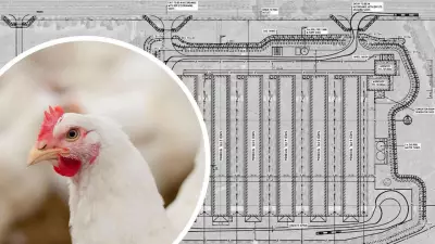 Turosi Foods Seeks Approval for Major Anakie Breeder Farm Expansion