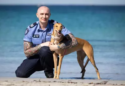 WA Police Officers Adopt Retired Racing Greyhounds to Boost Emotional Wellbeing