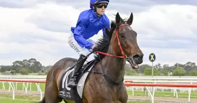 Warwick Farm Wednesday Racing Preview: Expert Tips and Race-by-Race Guide