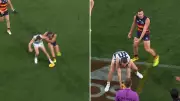 AFL Admits Review Process Flaw After Geelong's Controversial Free Kick