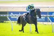 Aurum Belle Dominates Supremacy Stakes, Now Karrakatta Plate Favourite