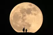 Australia's Historic Moon Mission: First Launch in 53 Years Begins Countdown