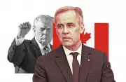 Canadian PM Mark Carney Advocates Middle Path Amid Trump's Might-Is-Right Doctrine
