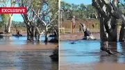 Carnarvon Man Survives 12-Hour Ordeal Clinging to Tree in Raging Floodwaters