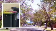 City of Melville to Trial Free Extra Bins for Leaf Litter in Landmark Council Vote