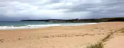 Couple Drown at Shellharbour Beach, Bystanders Praised for Rescue Attempt