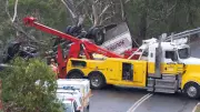 Driver Rescued After Truck Plunges Off Cliff in Major Meredith Emergency