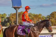 Former WA Apprentice Jett Stanley Wins Adelaide Cup After Dramatic Fall