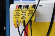 Government Considered Fuel Pump Price Cap, FOI Documents Reveal