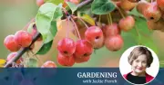 Jackie French's Expert Guide to Thriving Winter Crops in Your Home Garden