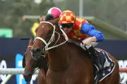 James McDonald Breaks Australian Record with 130th Group 1 Win at Rosehill