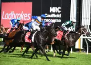 Jigsaw Confirms Quokka Puzzle Piece as Ladbrokes Lands Impressive Speedster on Six-Win Streak