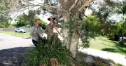 Lake Macquarie's Free Plant Verge Garden Policy Praised by Anna Noon