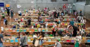 Lifeline's Big Book Fair Offers Over 90,000 Titles for Sale