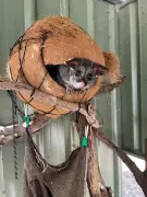 Lotterywest Grants Boost Wildlife Care in Mandurah with New Equipment