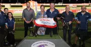 Magpie Hector Achieves Rare Double in Greyhound Racing's Super Stayers