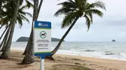 Palm Cove Residents Demand Relocation of Off-Leash Dog Sign