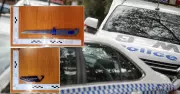 Police Seize Blades and Charge Seven in Wollongong Operation