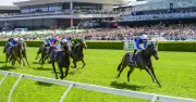 Rosehill Racing Tips: Expert Selections for Saturday's Feature Races