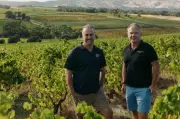 SA Winemaker Acquires Prestigious Vineyard Amid Industry Challenges