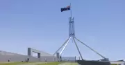 Senate Committee Rejects 'Big Stick' Approach for Unethical Contractors