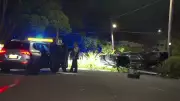 Sydney Manhunt Intensifies After Stolen Car Crash in Lane Cove
