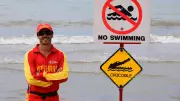 Two-Metre Crocodile Sighting Closes Popular Townsville Beach