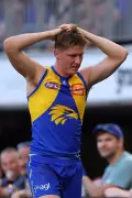 West Coast Eagle Harry Edwards Suffers Second Head Knock in Three Weeks