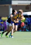 West Coast Eagles' Backline Crisis Deepens with Harry Edwards Concussed