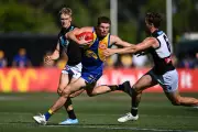 West Coast Eagles Recruit Harry Schoenberg Faces One-Match Ban for Striking Incident