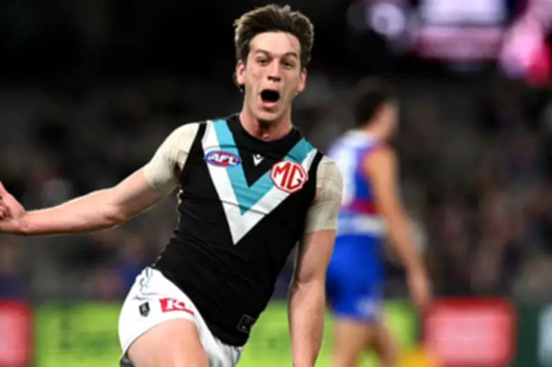 AFL Players Association Supports Star After Umpire Dispute