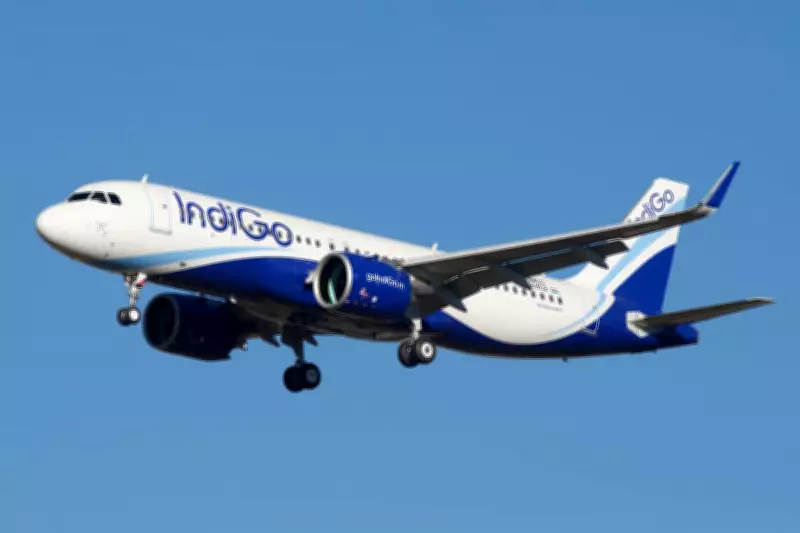 Air India and IndiGo CEOs Resign Amid Industry Challenges