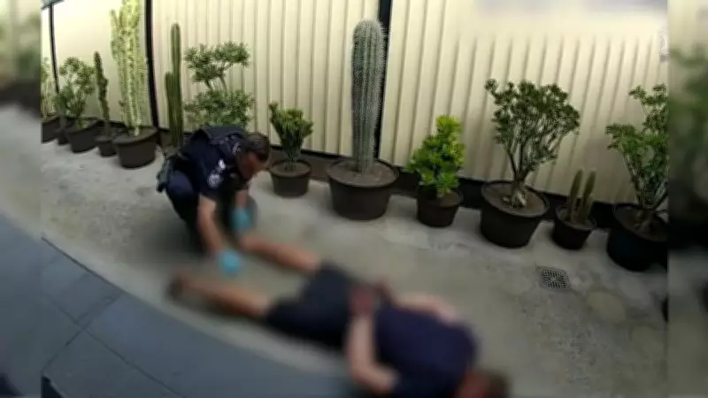 Alleged Car Thief Lands on Cactus While Fleeing Police in Brisbane